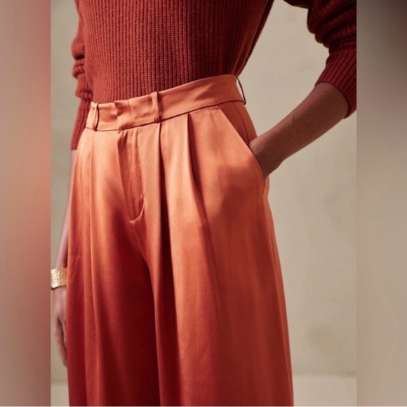 Banana Republic 100% Silk Terracotta Belay Wide-Leg Pants and Button Down - Picture 3 of 15